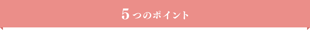 5つのポイント